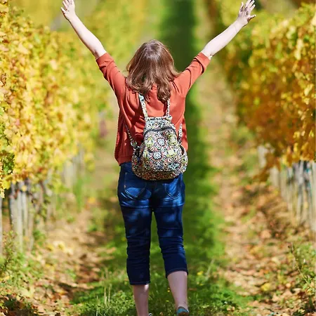 Ocean Cosy Bordeaux Saint Emilion 住宿加早餐酒店 Lugon et l’Ile du Carney