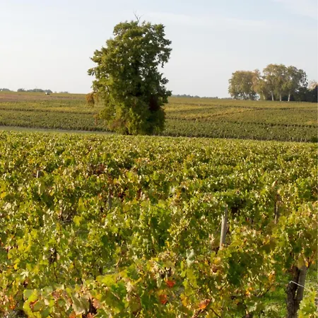 Ocean Cosy Bordeaux Saint Emilion 住宿加早餐酒店 4*