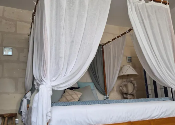 Ocean Cosy Bordeaux Saint Emilion Bed and Breakfast