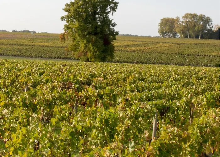 Ocean Cosy Bordeaux Saint Emilion Bed and Breakfast 4*